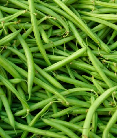 fagiolini