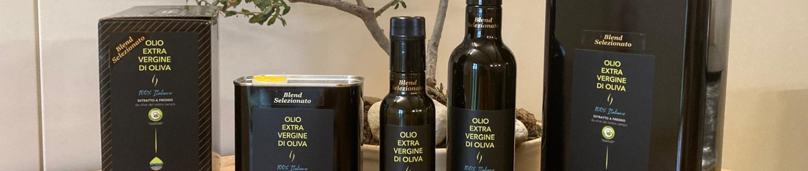 Solare Societa Agricola