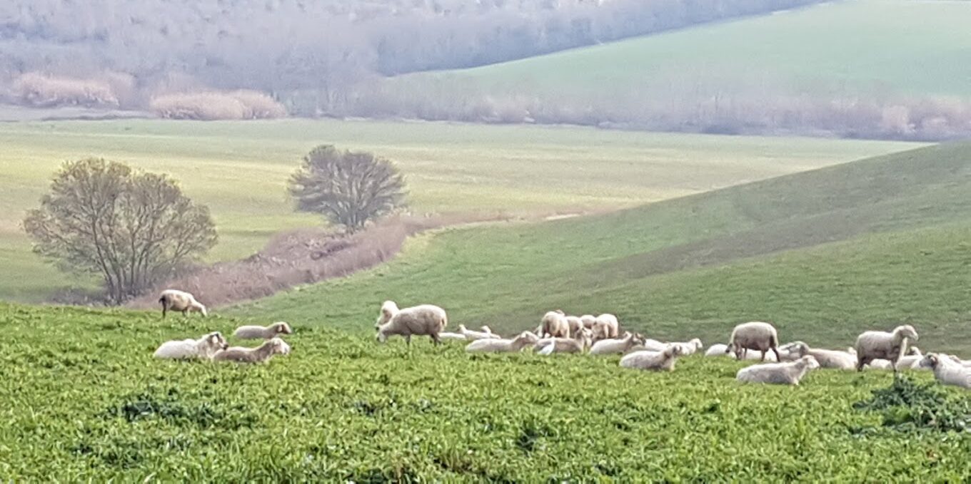 Antica Tenuta Giovanna