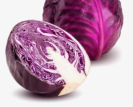 cavolo cappuccio viola
