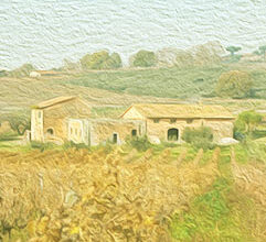 Az. Agr. Casale S. Spirito