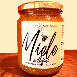 Miele-millefiori-AzAgCasaleSantoSpirito